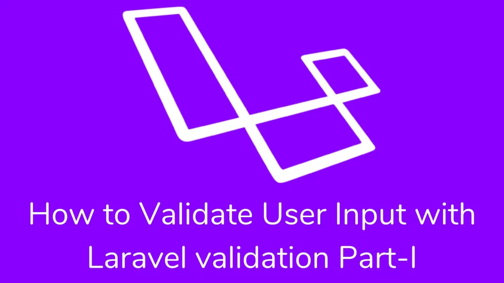 how to validate user Input with Laravel validation